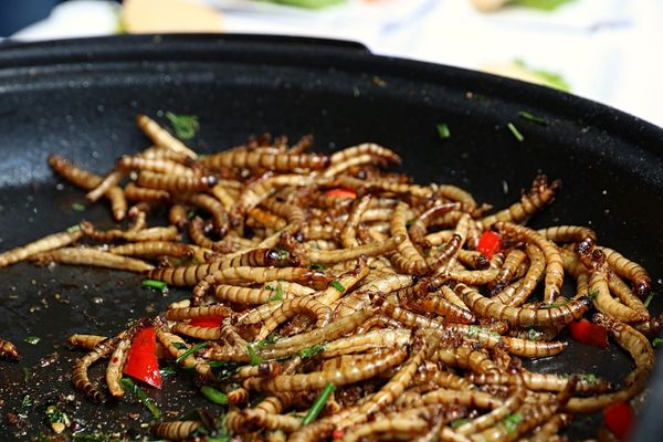 Eksperyment kulinarny: Dlaczego warto spróbować dań z owadami