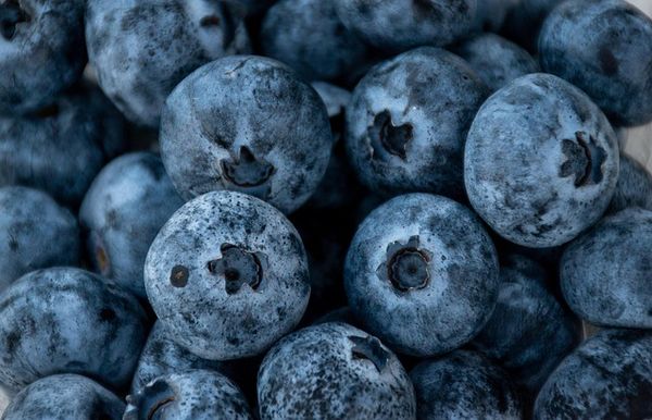 Zakupy świadomego konsumenta – jak wybierać produkty roślinne?